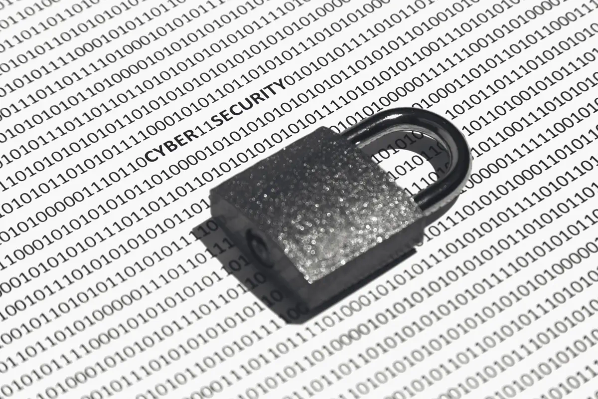 Ayudas ciberseguridad Cámara de Cantabria